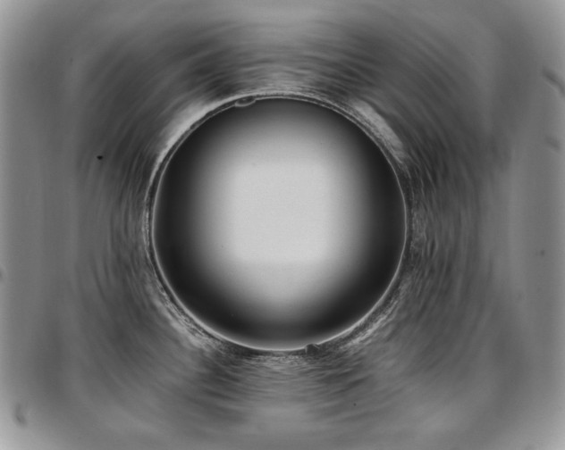 X0000097641340200802291355