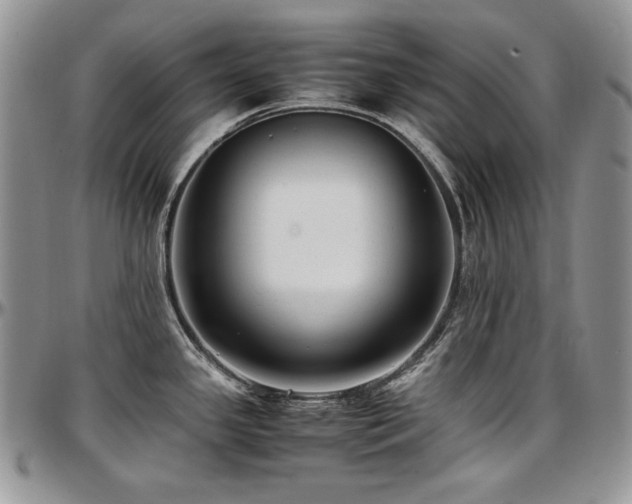 X0000097641341200802291355