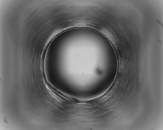 X0000097641342200802291355