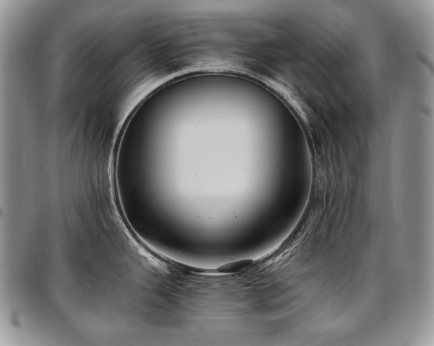 X0000097641343200802291355