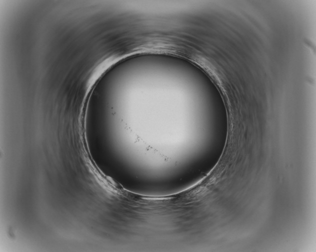 X0000097641344200802291355