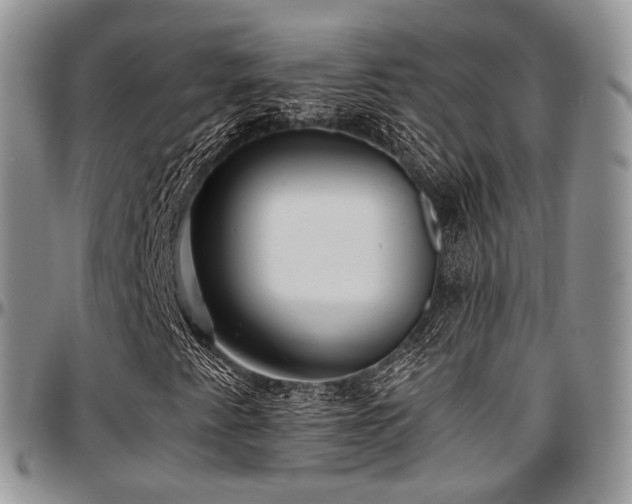 X0000097641345200802291354
