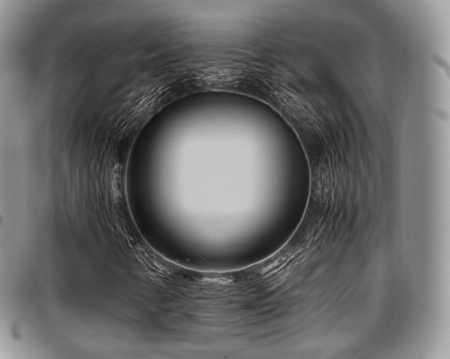 X0000097641346200802291354