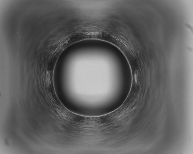 X0000097641347200802291354