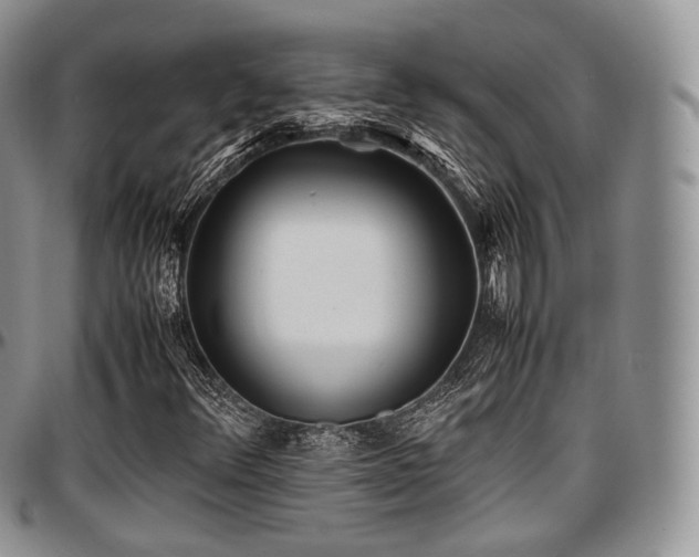 X0000097641348200802291354
