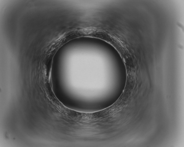 X0000097641349200802291354