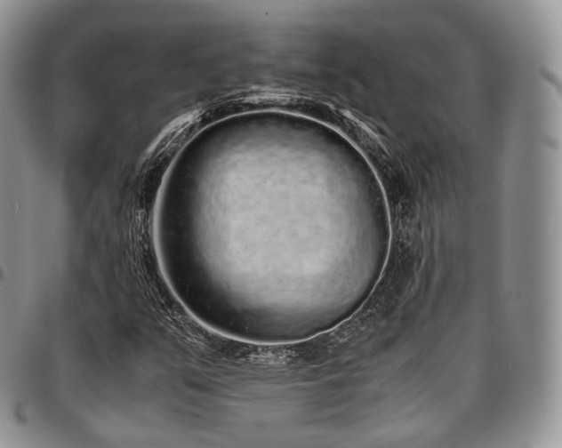 X0000097641351200802291354