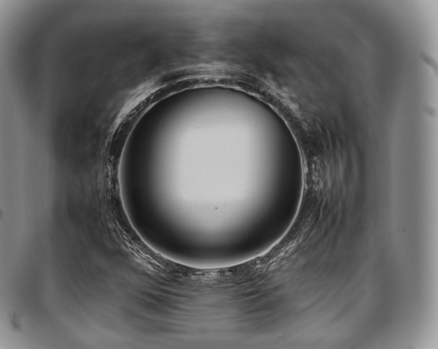 X0000097641352200802291354