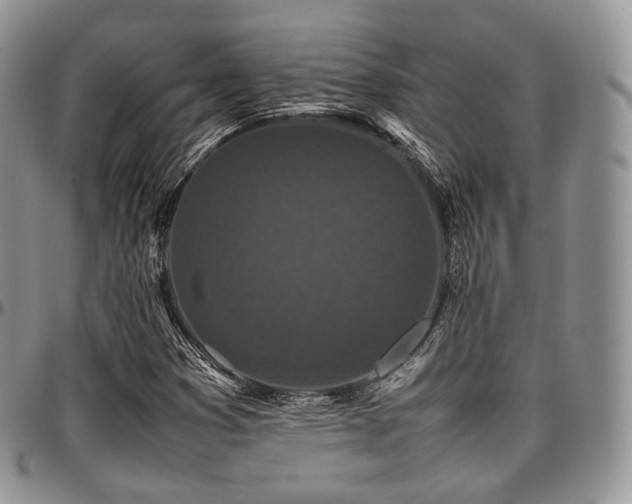 X0000097641353200802291354