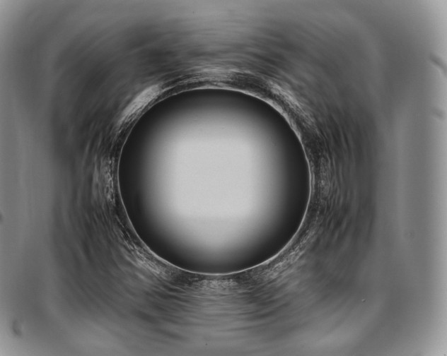 X0000097641354200802291354