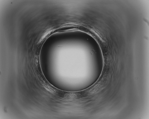 X0000097641355200802291354