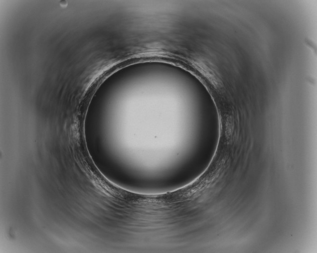 X0000097641356200802291354