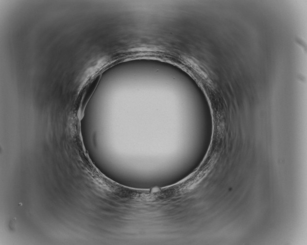 X0000097641357200802291354