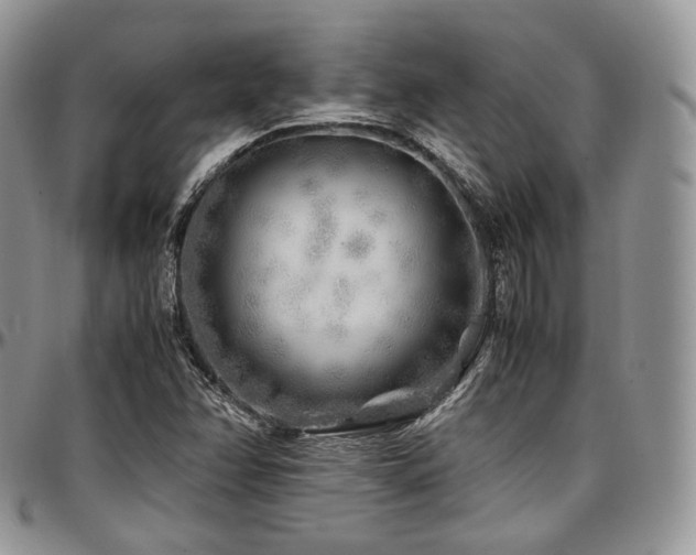 X0000097641358200802291354