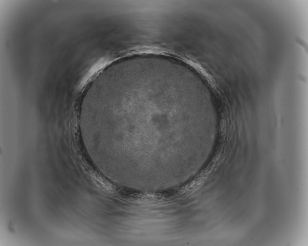X0000097641359200802291354
