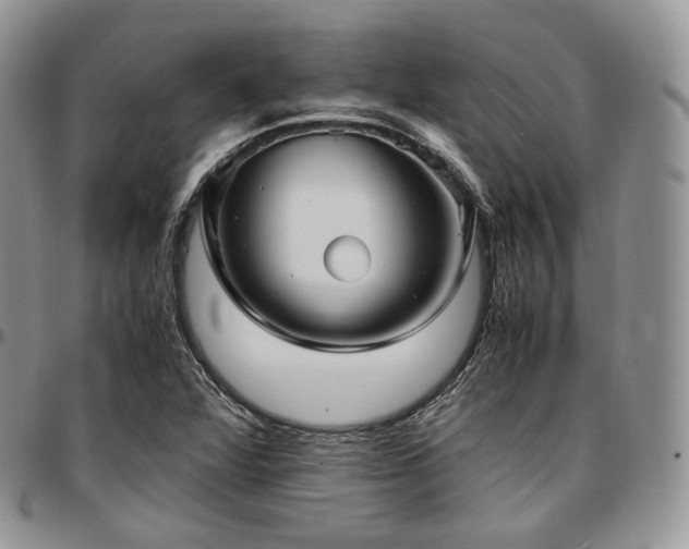 X0000097641360200802291354