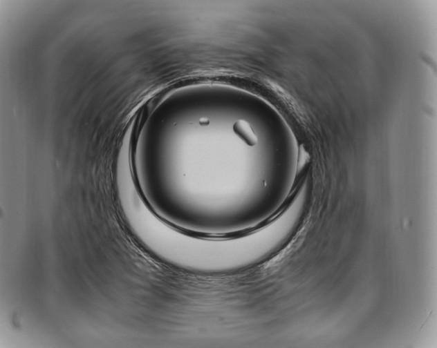 X0000097641361200802291354