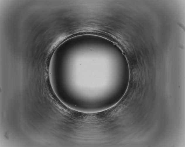 X0000097641363200802291354