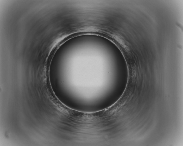 X0000097641364200802291354