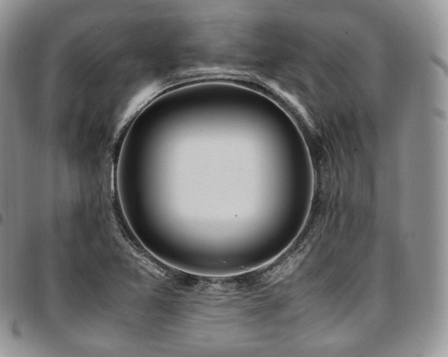 X0000097641365200802291354