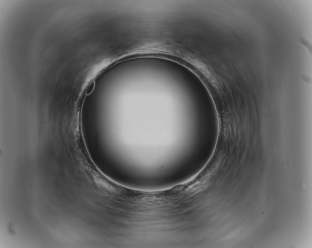 X0000097641366200802291354