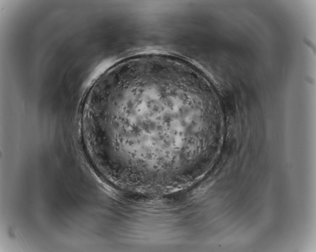 X0000097641367200802291354