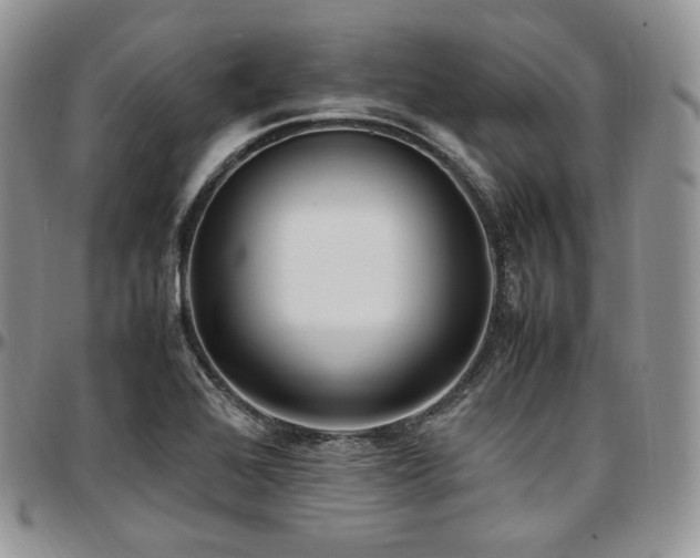 X0000097641368200802291354