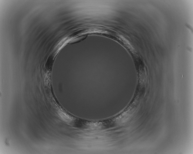 X0000097641369200802291354