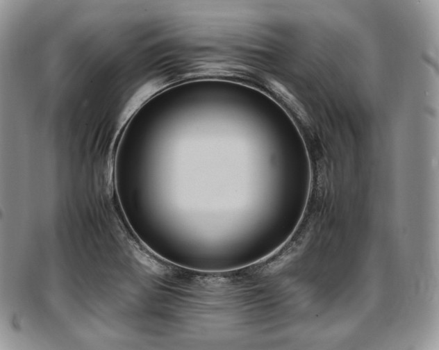 X0000097641370200802291354