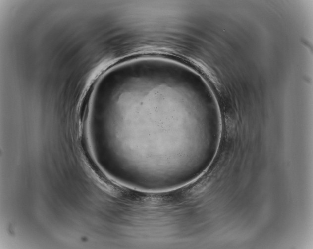 X0000097641371200802291354