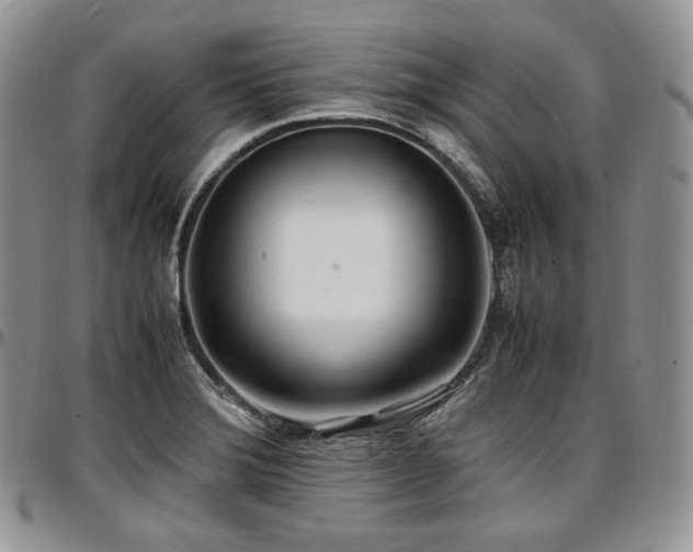 X0000097641372200802291354