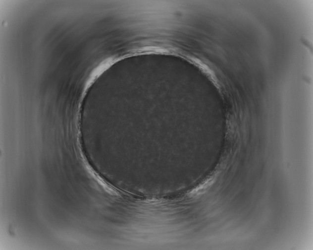 X0000097641373200802291354