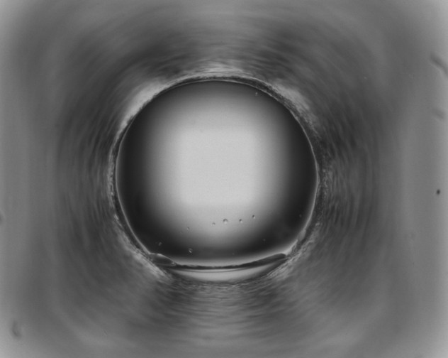 X0000097641374200802291354