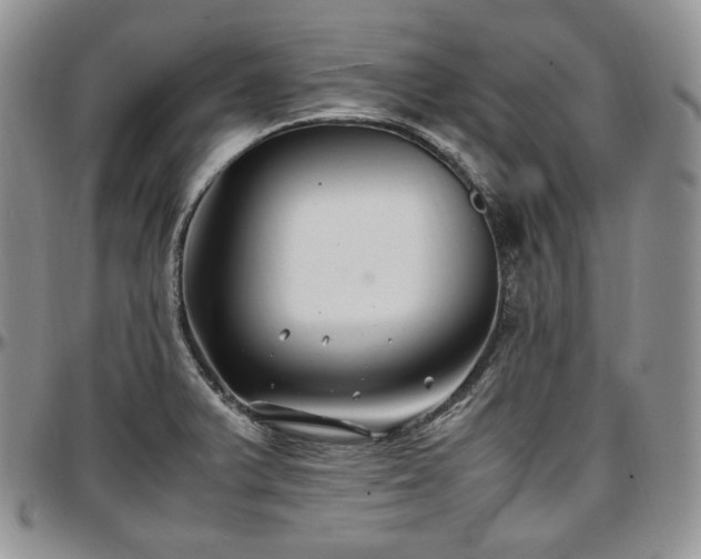 X0000097641375200802291354