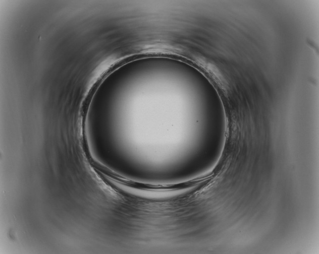 X0000097641376200802291354