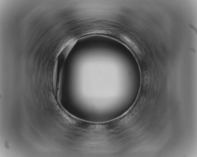 X0000097641377200802291354