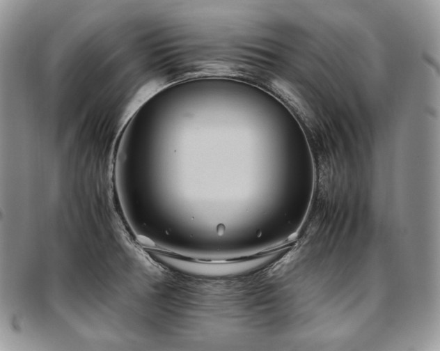 X0000097641378200802291354