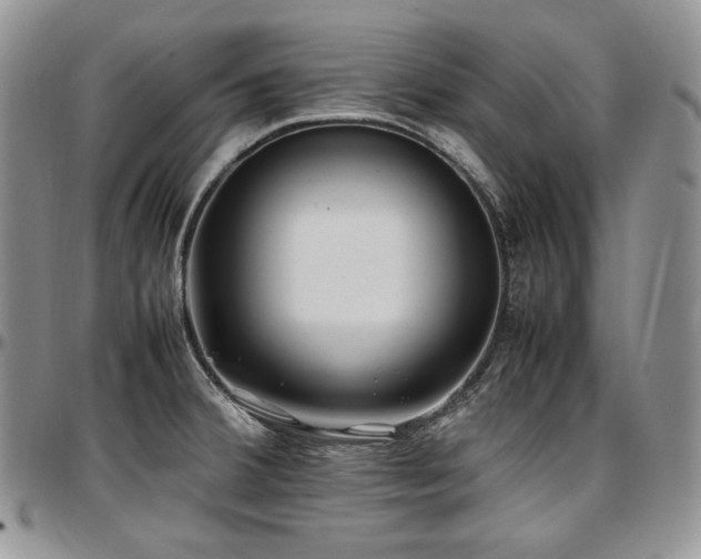 X0000097641380200802291354