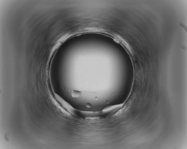 X0000097641381200802291354