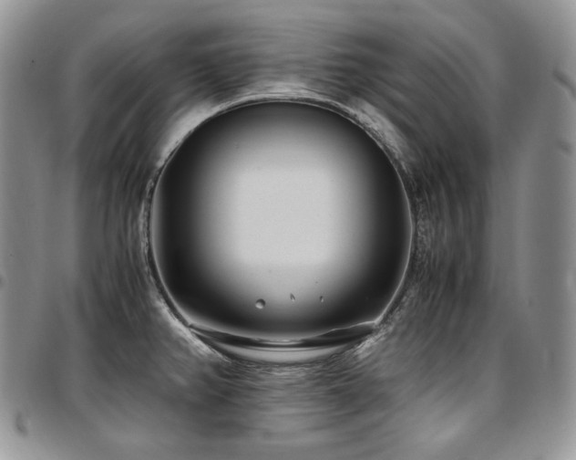 X0000097641382200802291354