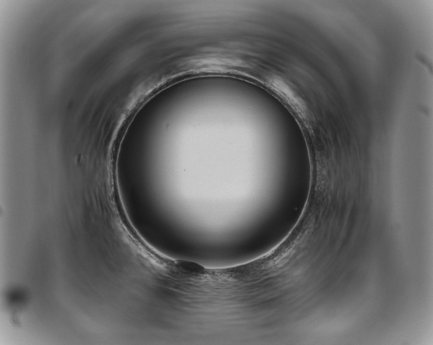 X0000097641384200802291354