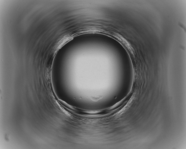 X0000097641385200802291354