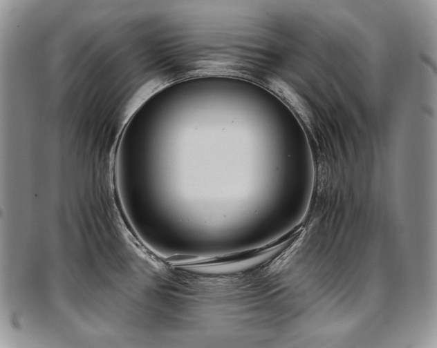 X0000097641386200802291354