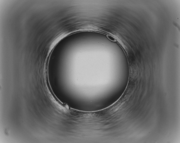 X0000097641387200802291354