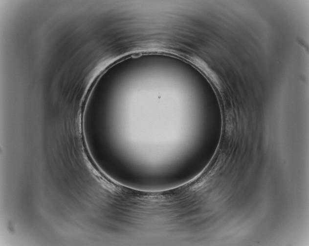 X0000097641388200802291354
