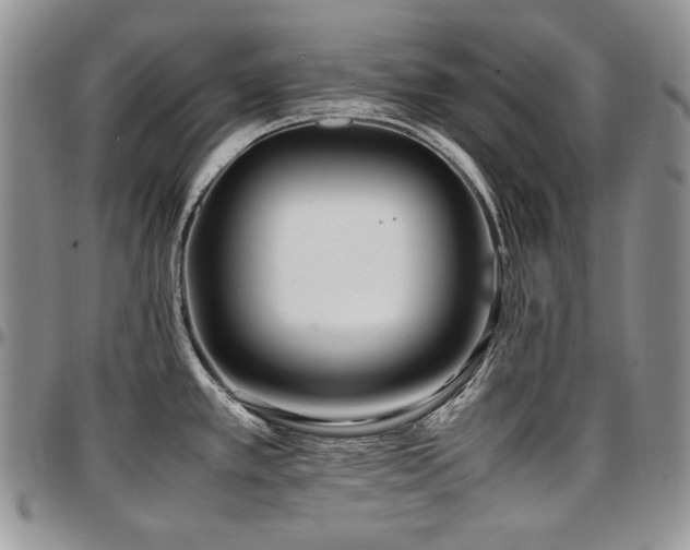 X0000097641389200802291354