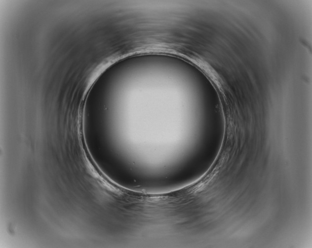 X0000097641390200802291354