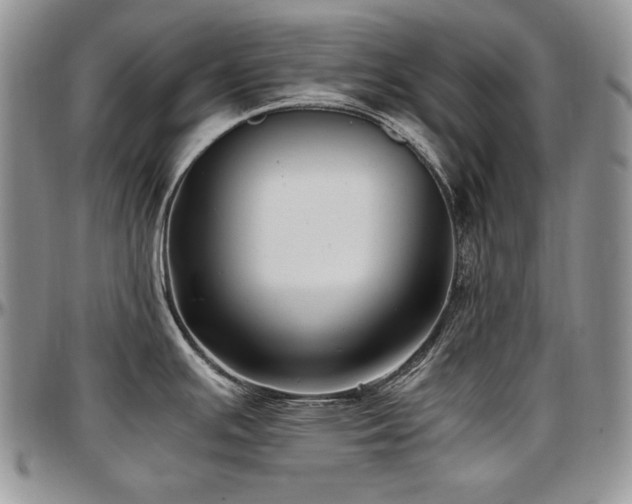 X0000097641391200802291354