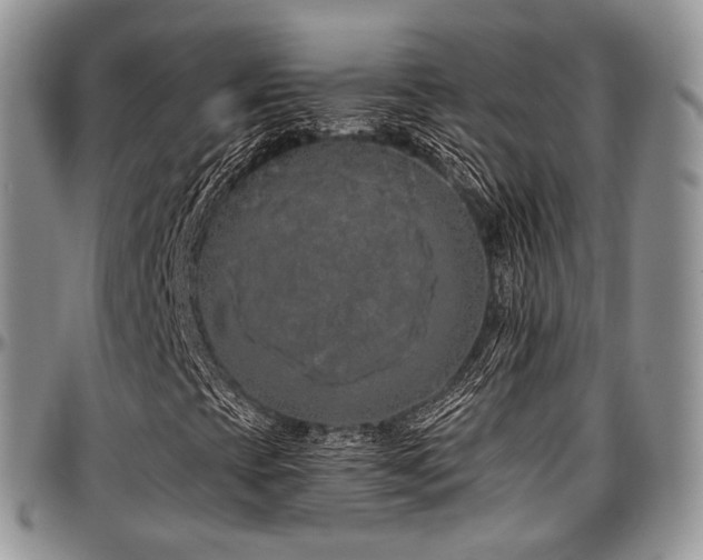 X0000097641393200802291353