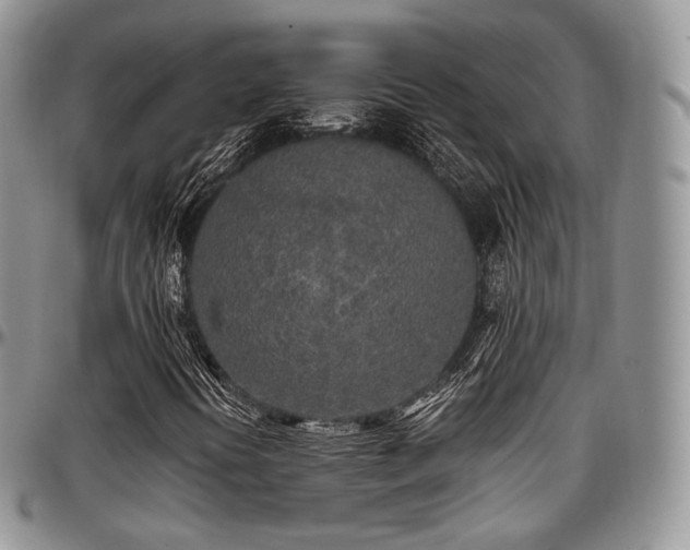 X0000097641394200802291353